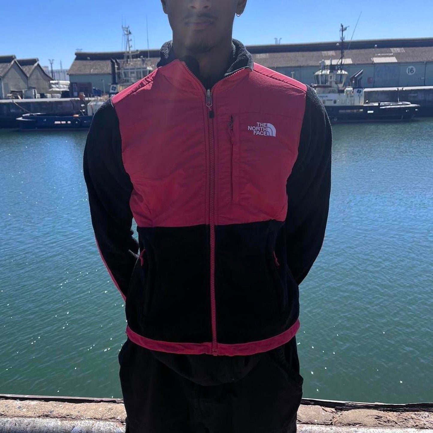 Women's The north face sweater jacket