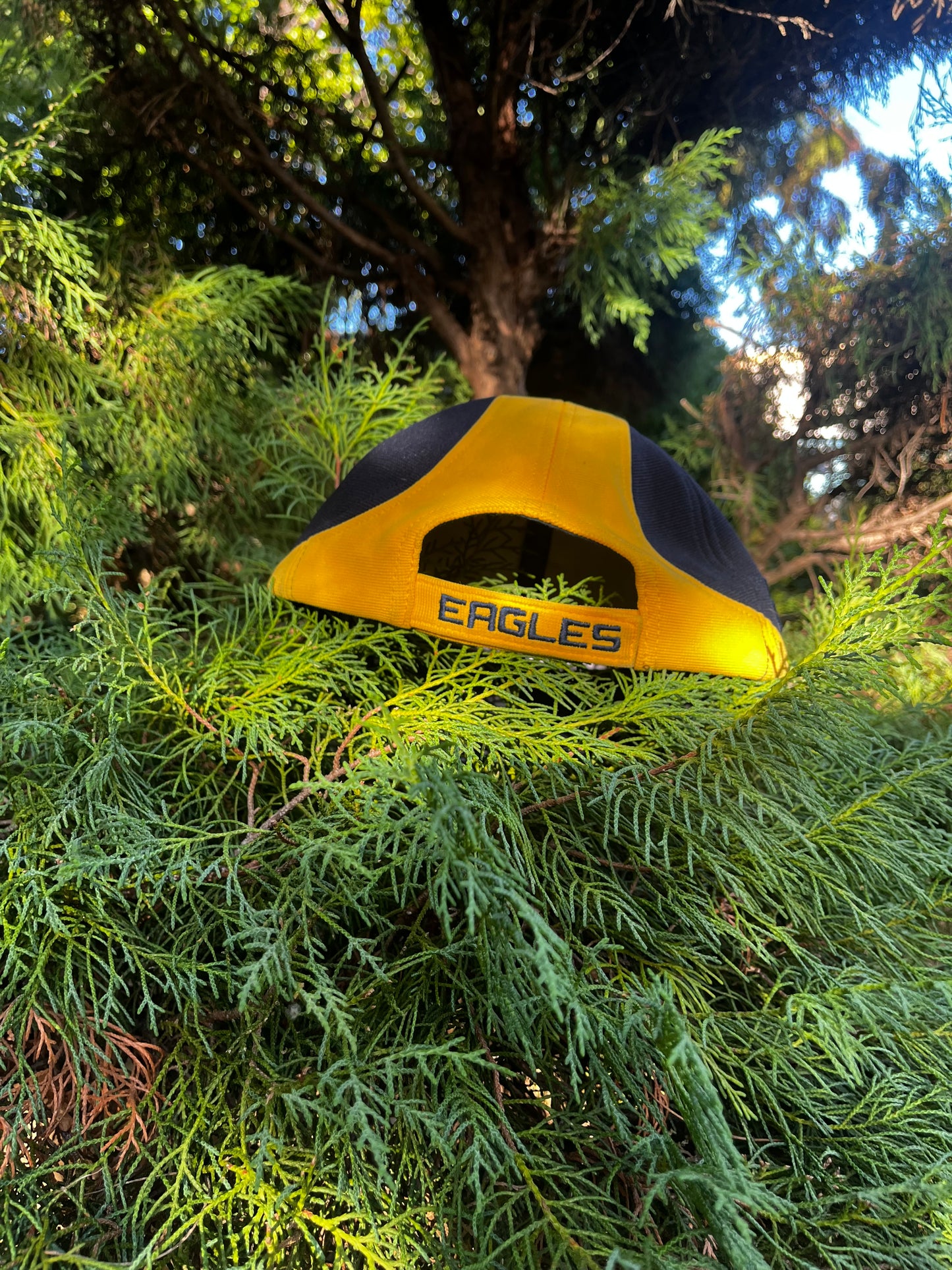 West coast eagles hat