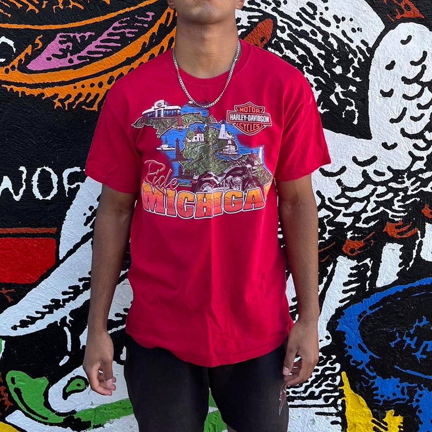 Ride Michigan Harley Davidson tee