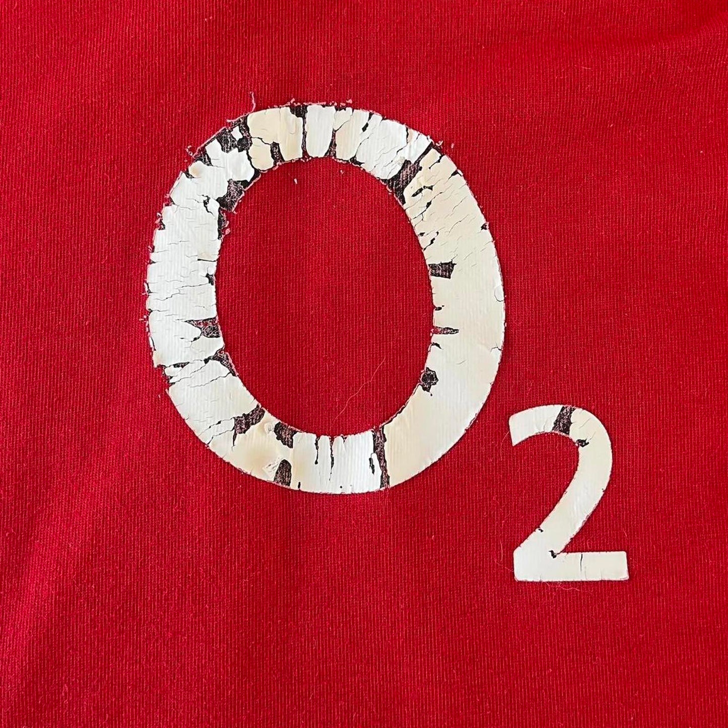 england rugby polo