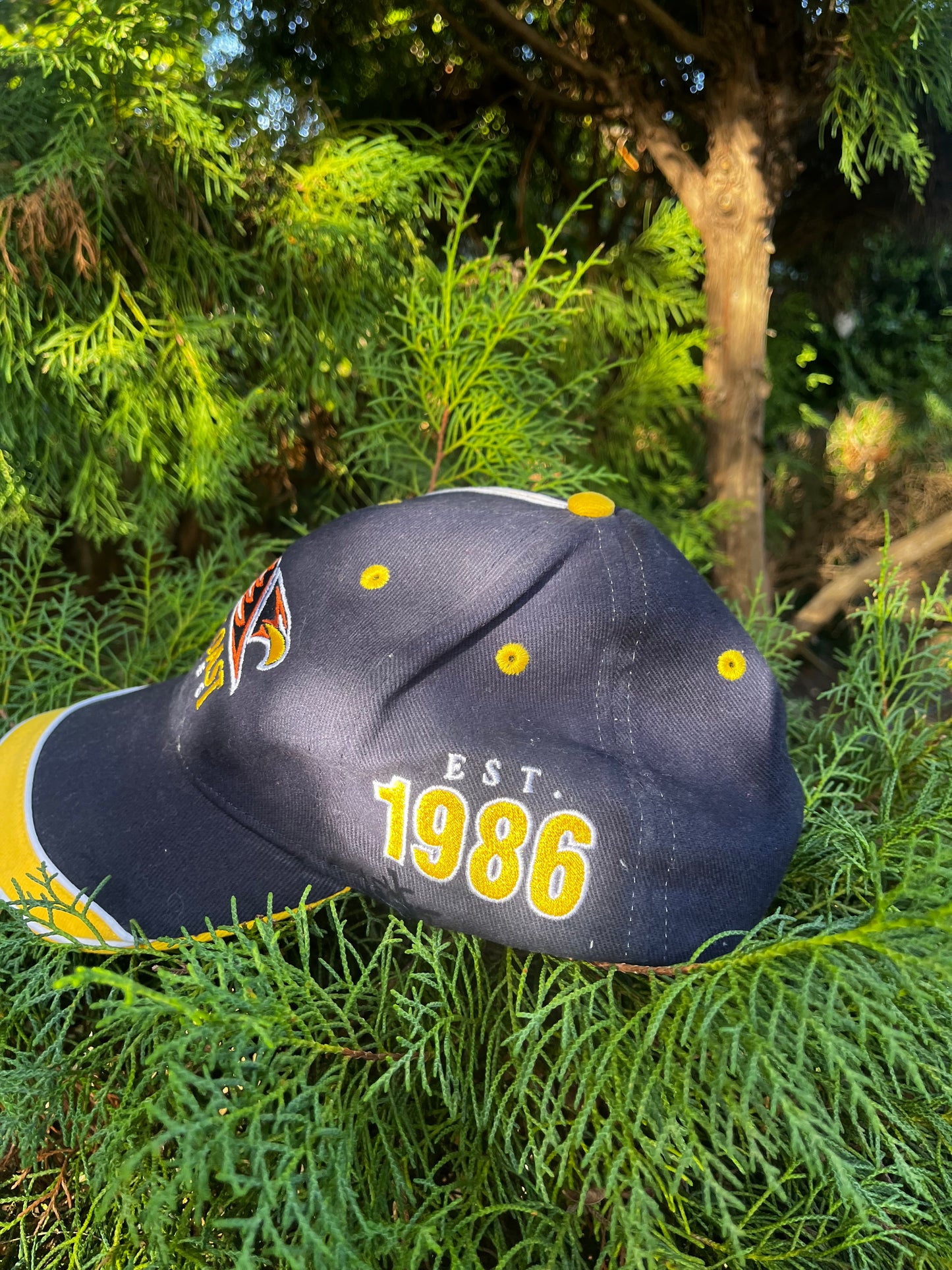 West coast eagles hat