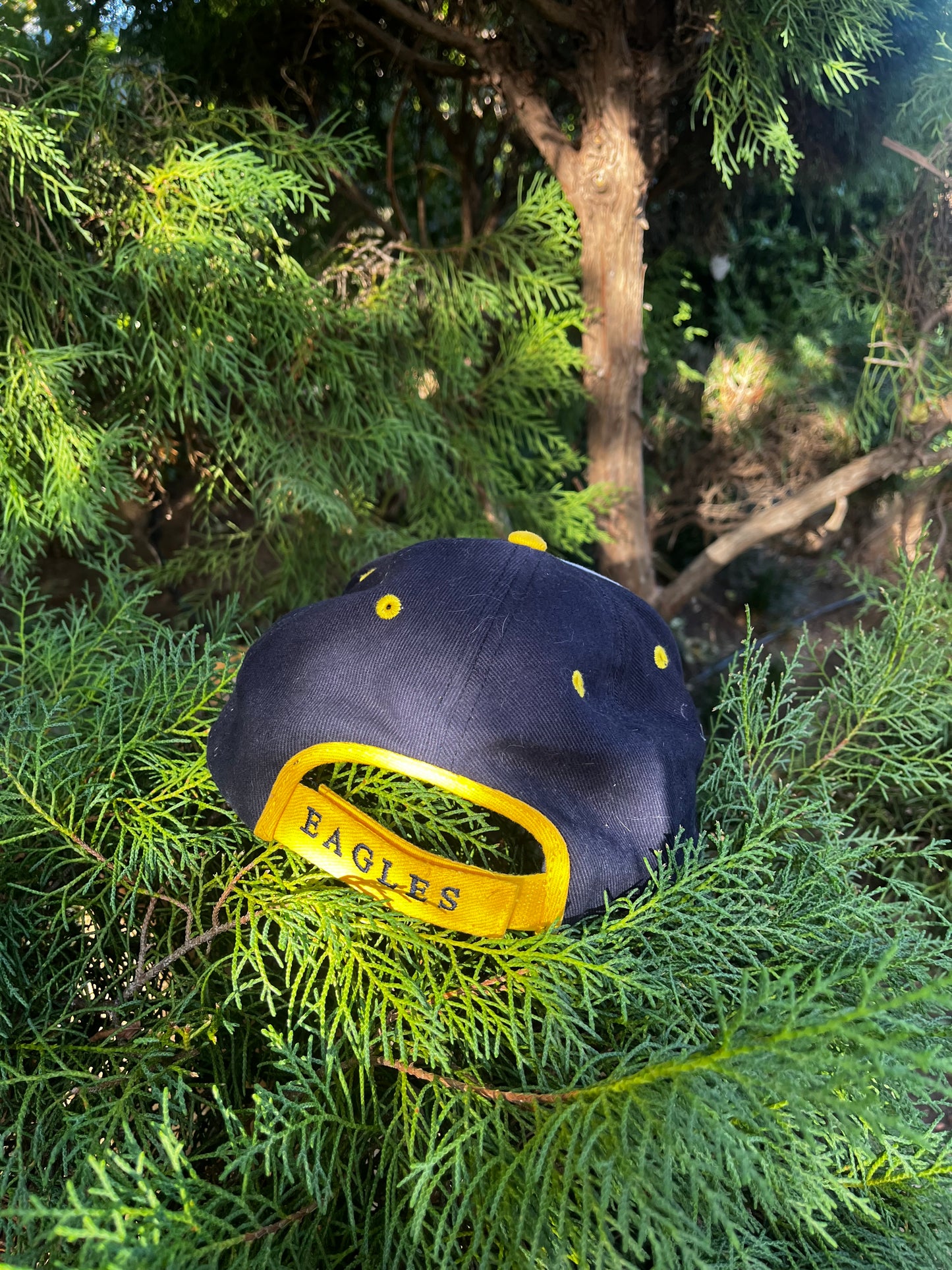 West coast eagles hat