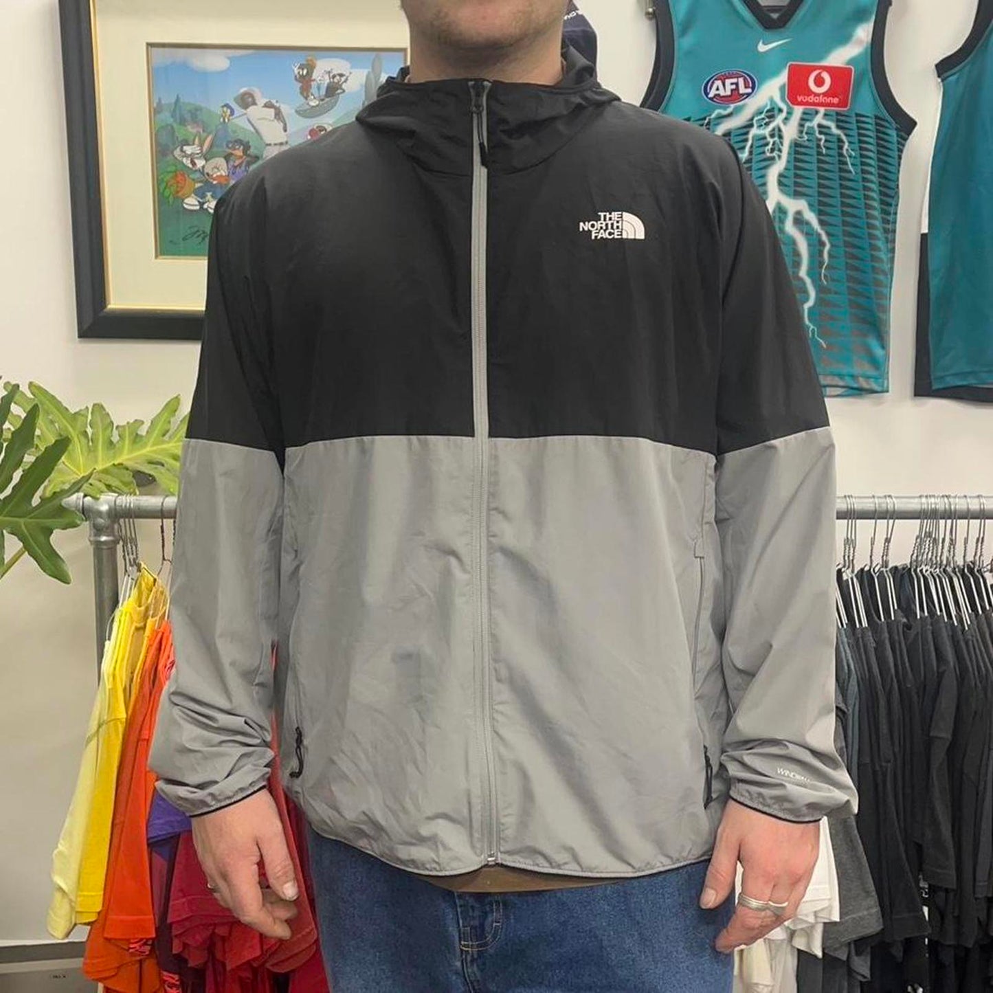 The north face jacket