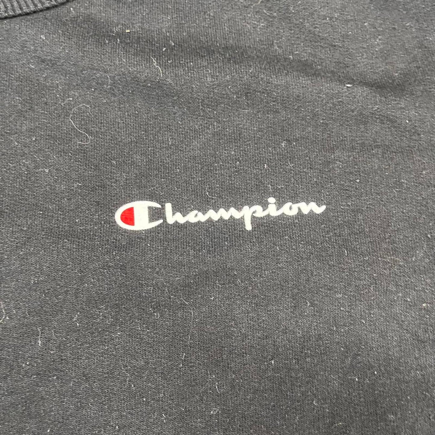 champion sweathsirt