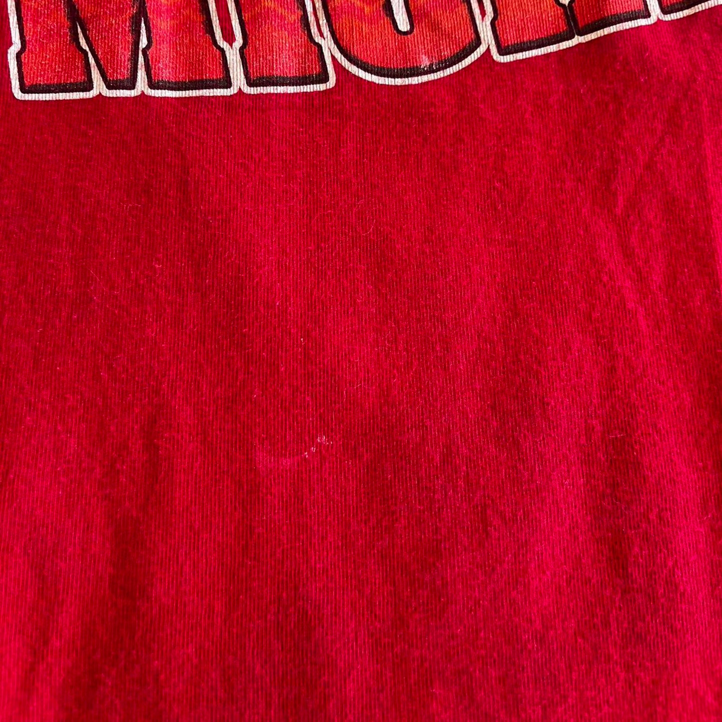 Ride Michigan Harley Davidson tee