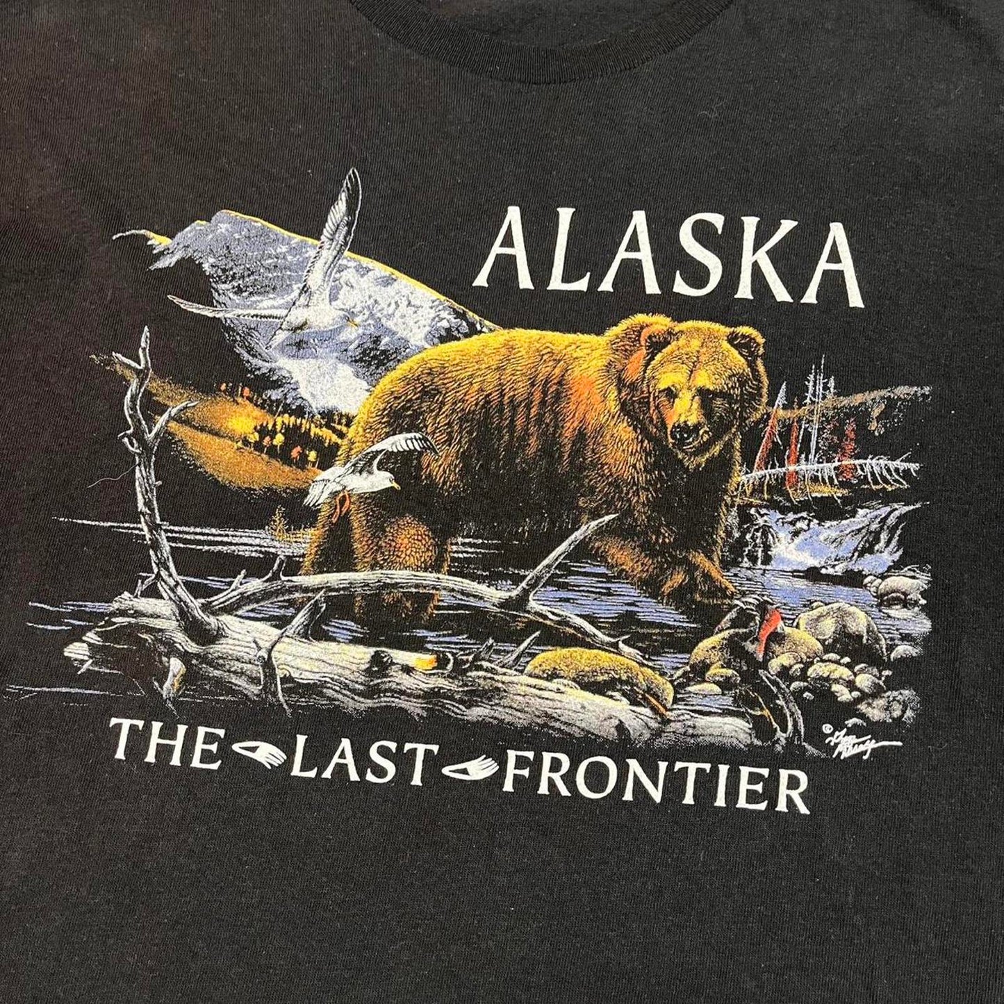 alaska tourist tshirt
