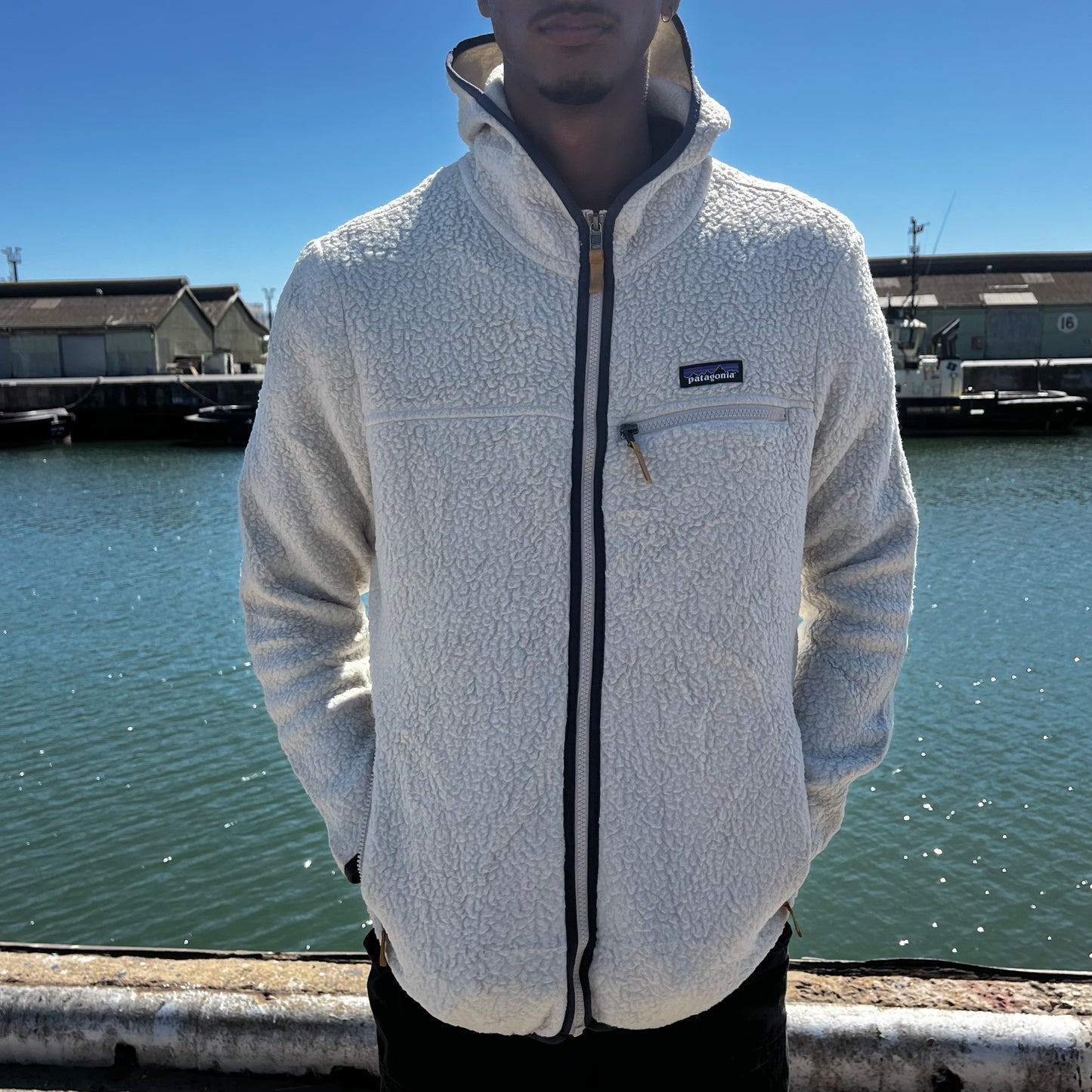 L Patagonia fleece hoodie