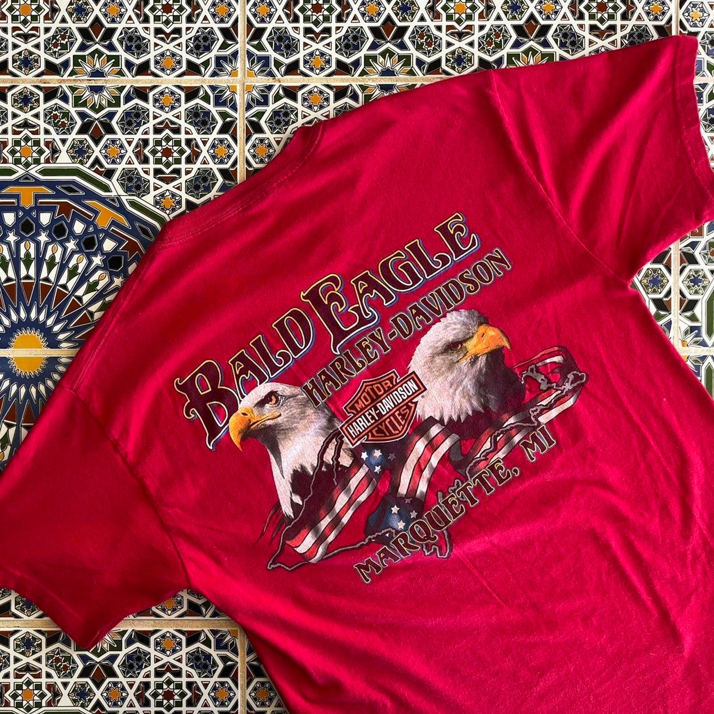Ride Michigan Harley Davidson tee