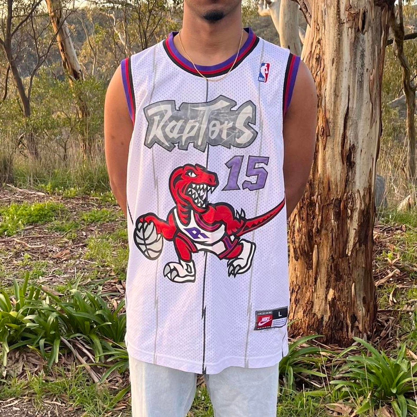 nike vince carter toronto raptors jersey