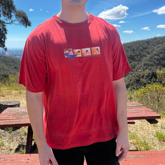 vintage hang ten tee