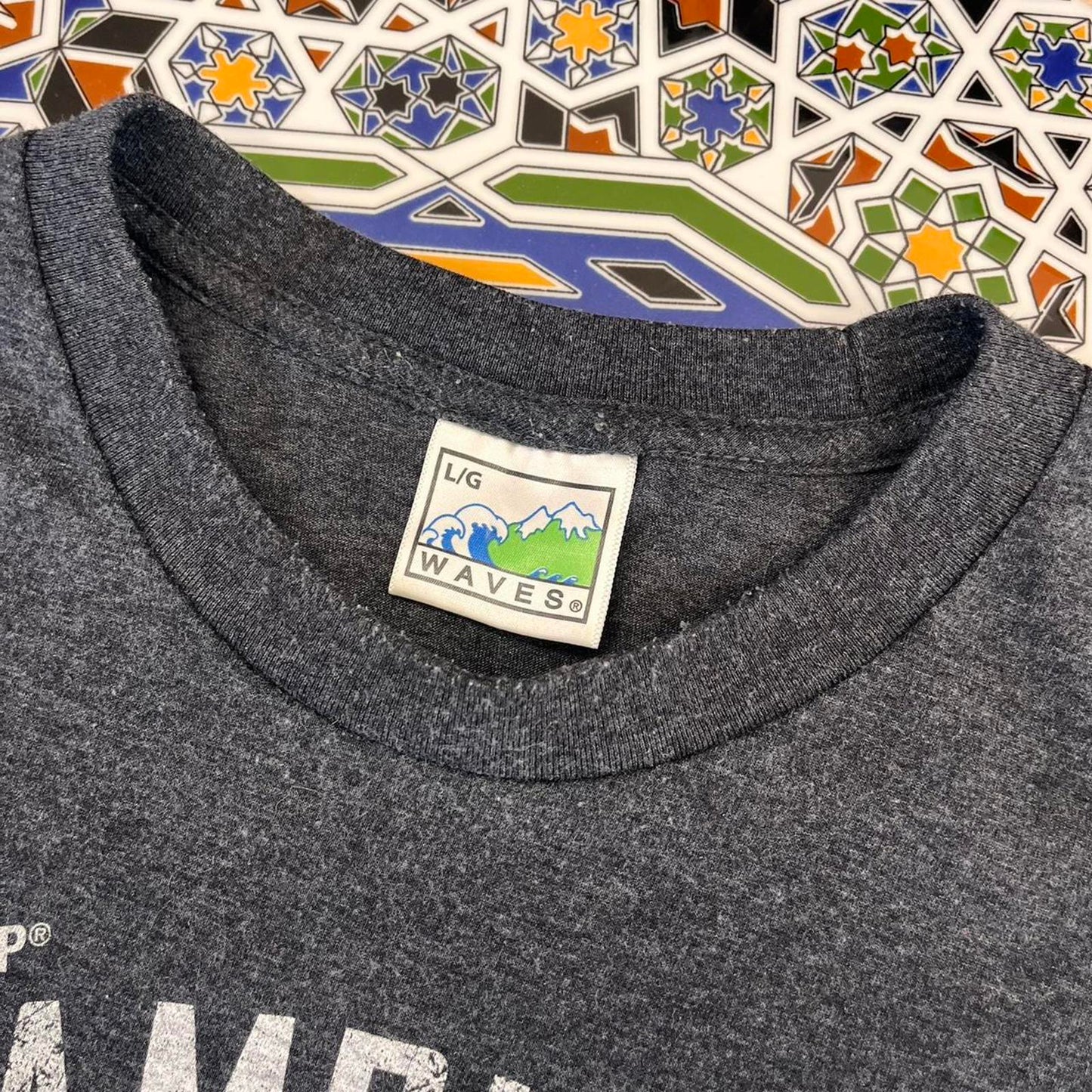 British Columbia lions tshirt