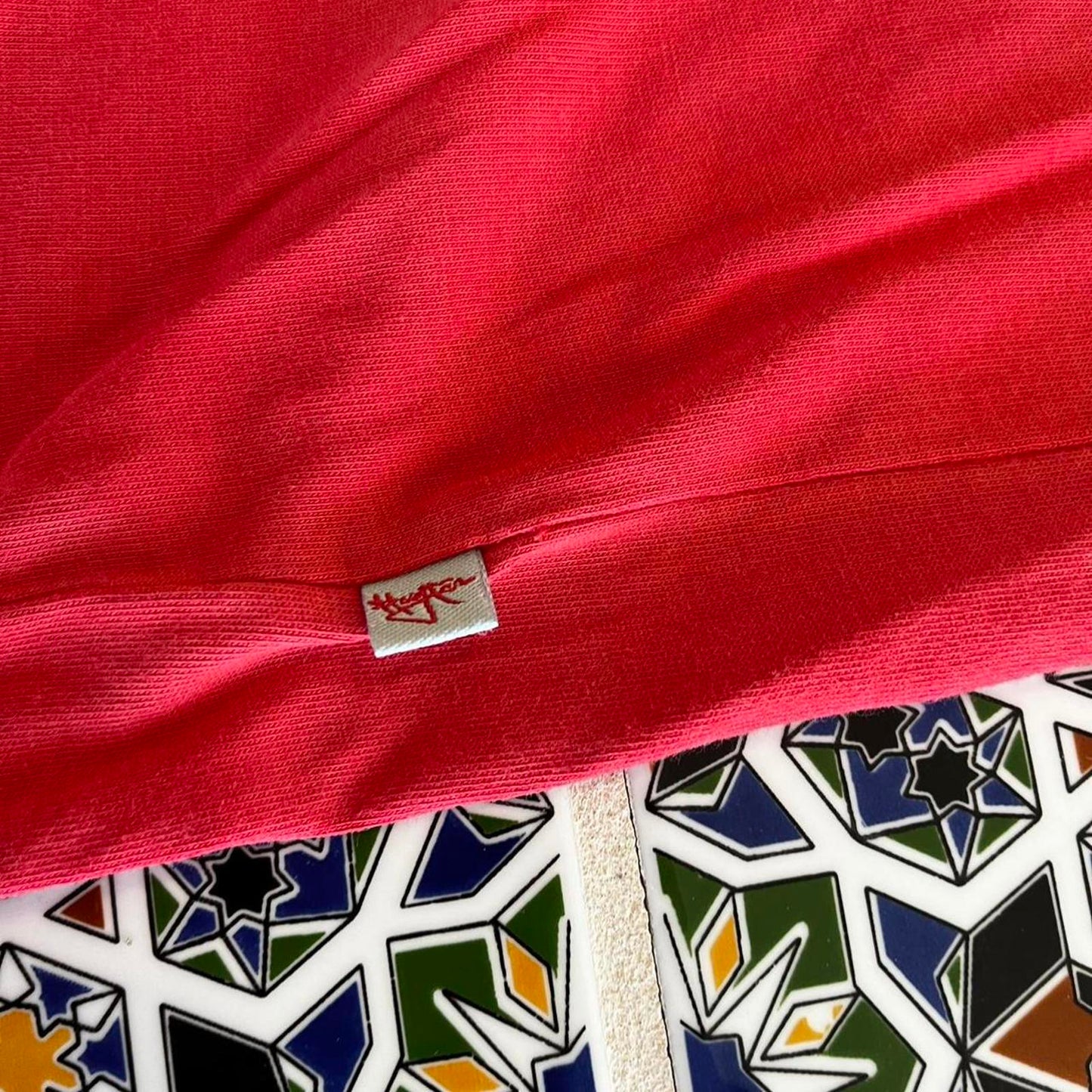vintage hang ten tee