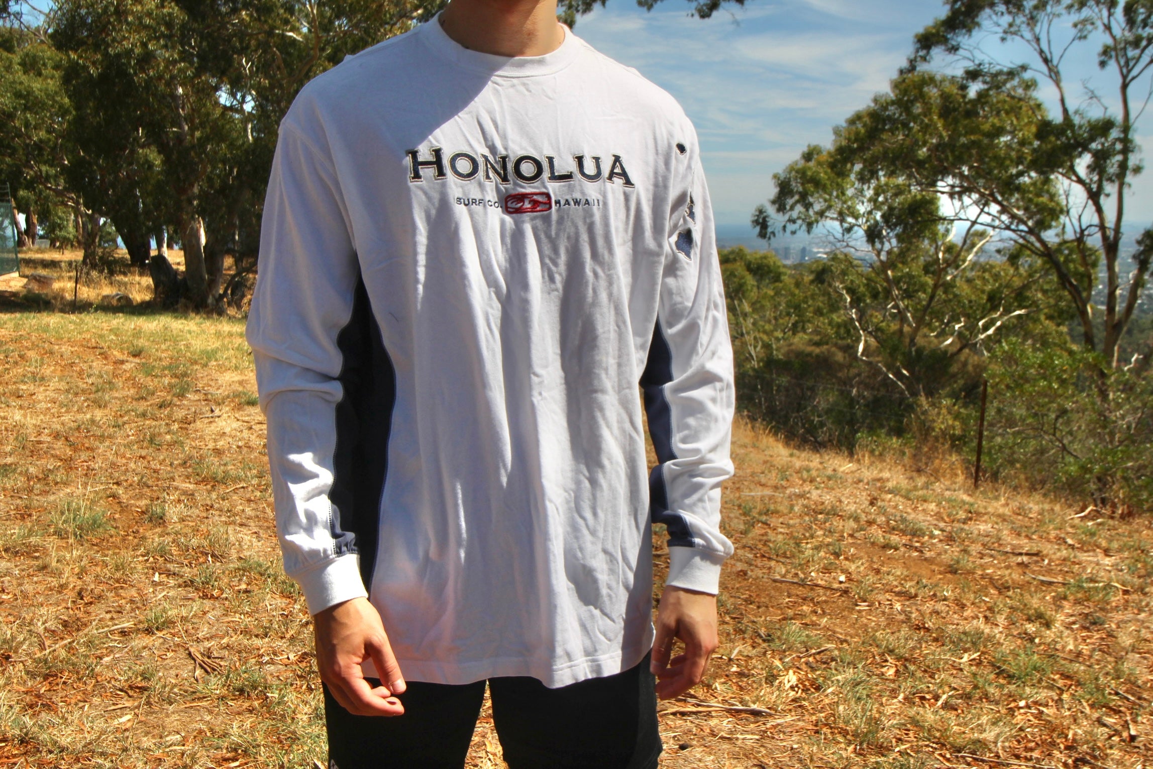 Honolua shirts shop