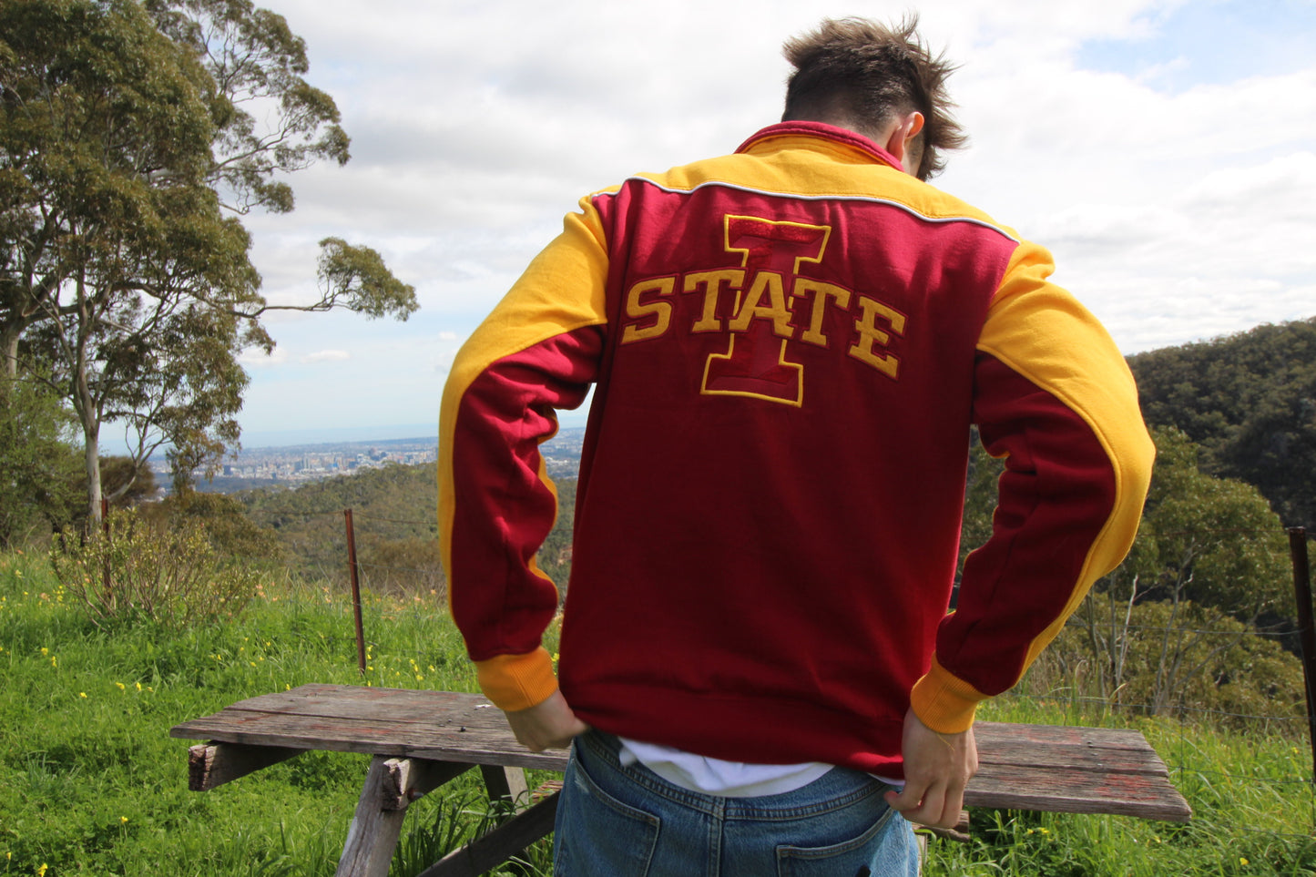 L Iowa State University 1/4 zip